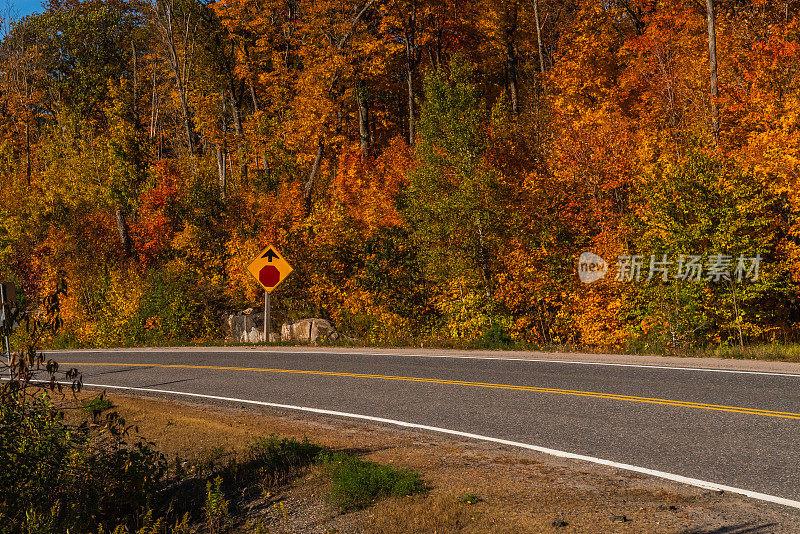 秋天的景色，道路转弯，树木改变了颜色，前面有一个“停止”的标志