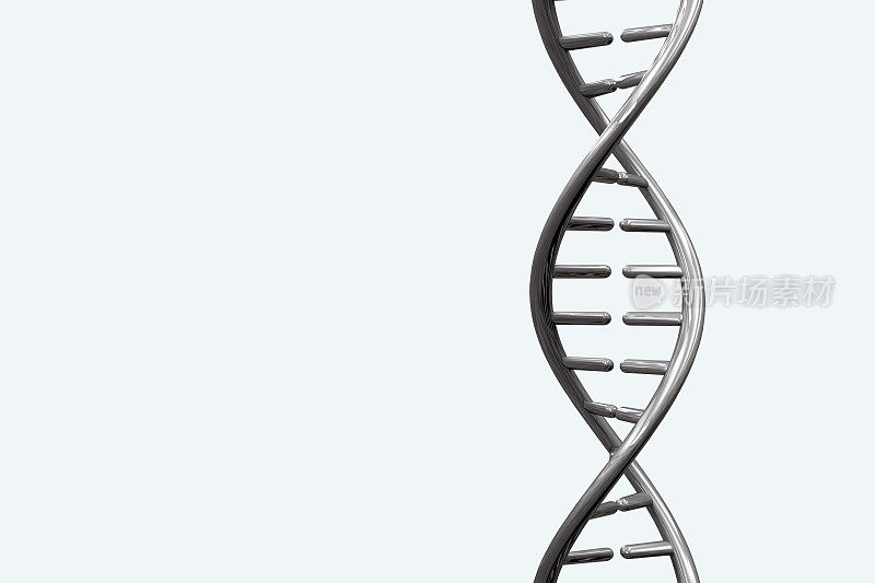 白色背景上分离出的银色金属DNA