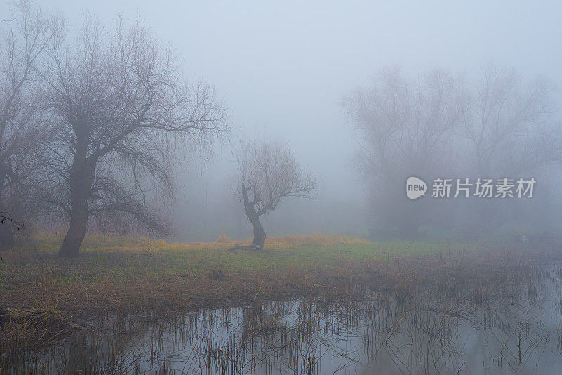 令人毛骨悚然的冬景