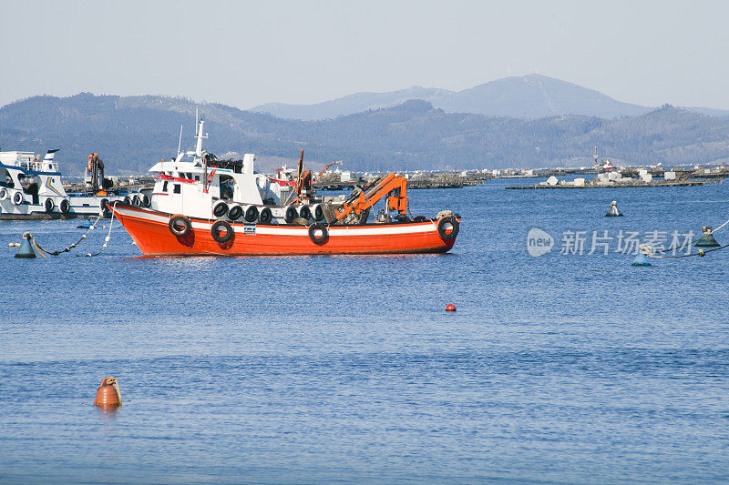 渔船系泊在港口，蓬特韦德拉省，加利西亚，西班牙。