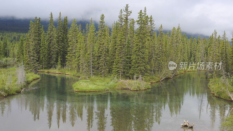 森林湖滨风景