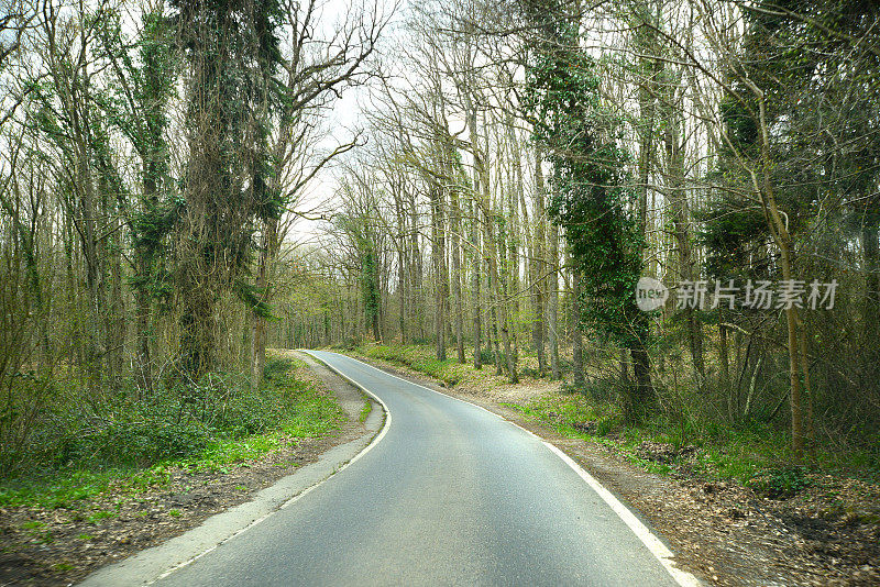 穿过森林的废弃的蜿蜒道路