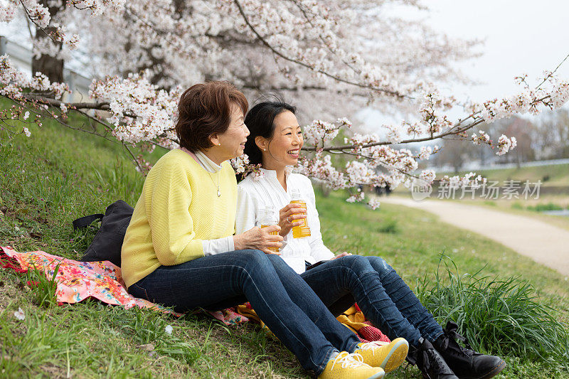 母女俩在樱花树下野餐