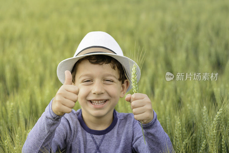 可爱的小农夫在麦田里拿着麦穗。