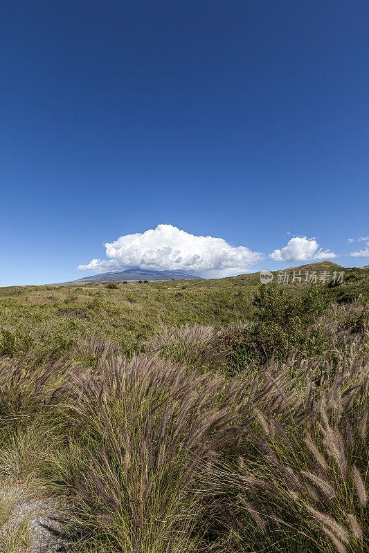 夏威夷大岛的莫纳克亚火山