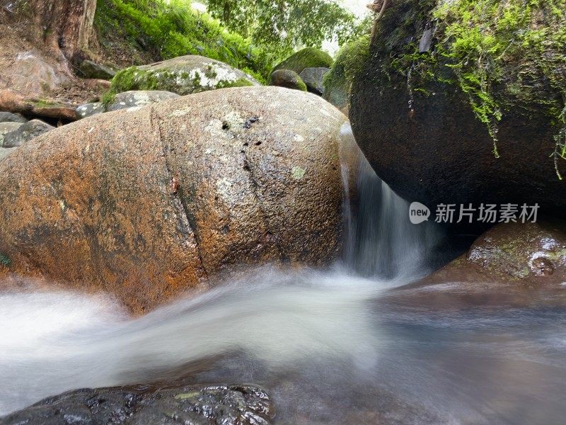 雨林溪流和巨石