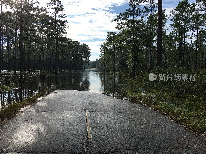 水淹没了经过森林的路面，淹没了通往桥梁的通道