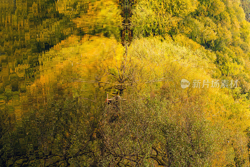 秋天在耶迪戈勒(七湖)国家公园博鲁土耳其