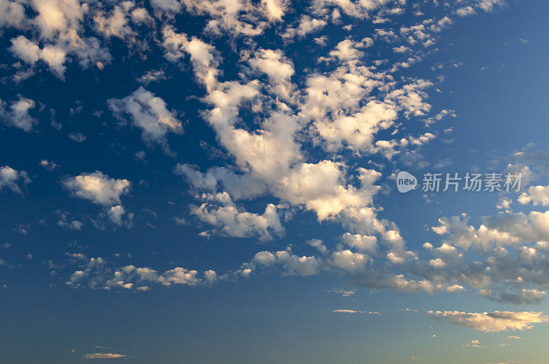 夏日蔚蓝的天空中飘浮着蓬松的小积云