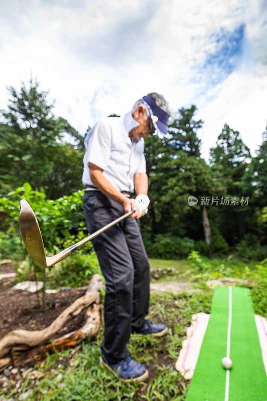 高级高尔夫在家