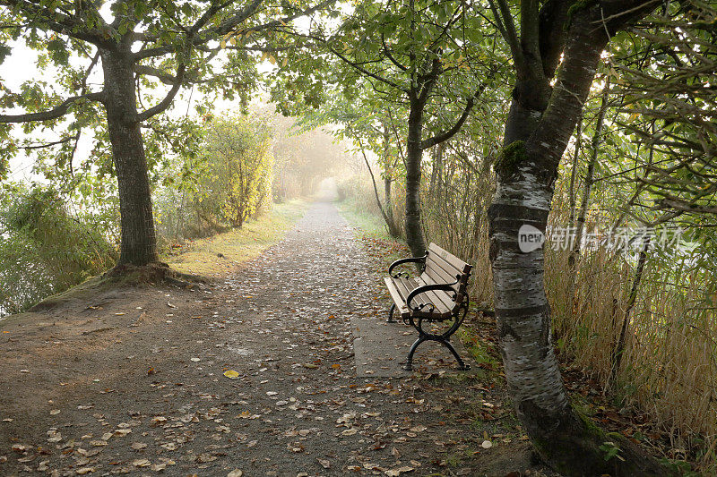 秋天，林荫小道上的公园长椅