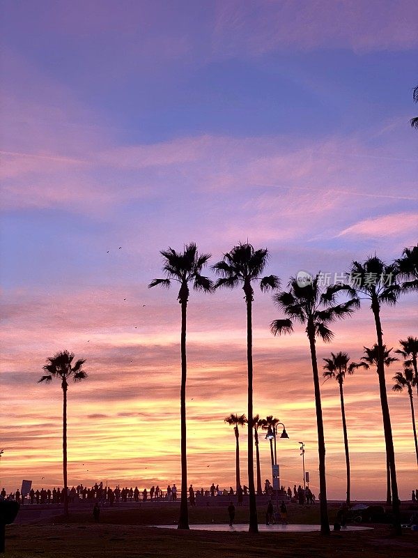 加州威尼斯海滩上的日落