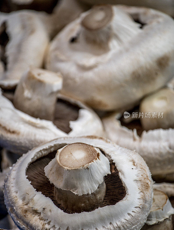 户外市场的蘑菇。