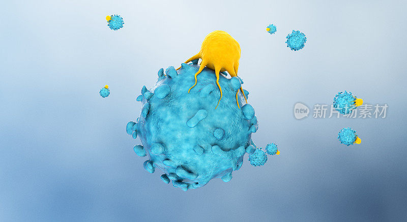 t细胞靶向癌细胞