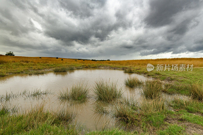 秋天的时候，天空阴沉沉的，沼地上的沼泽池塘