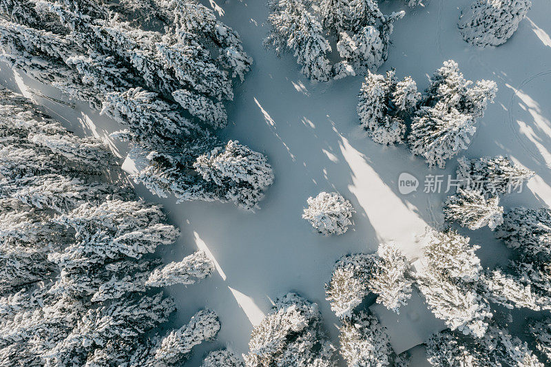 冬季大雪覆盖森林的高角度视角