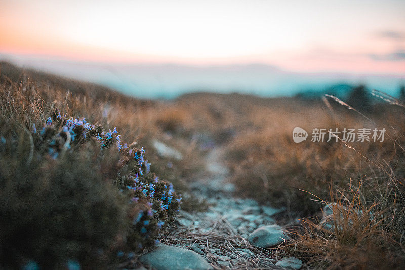 登山步道