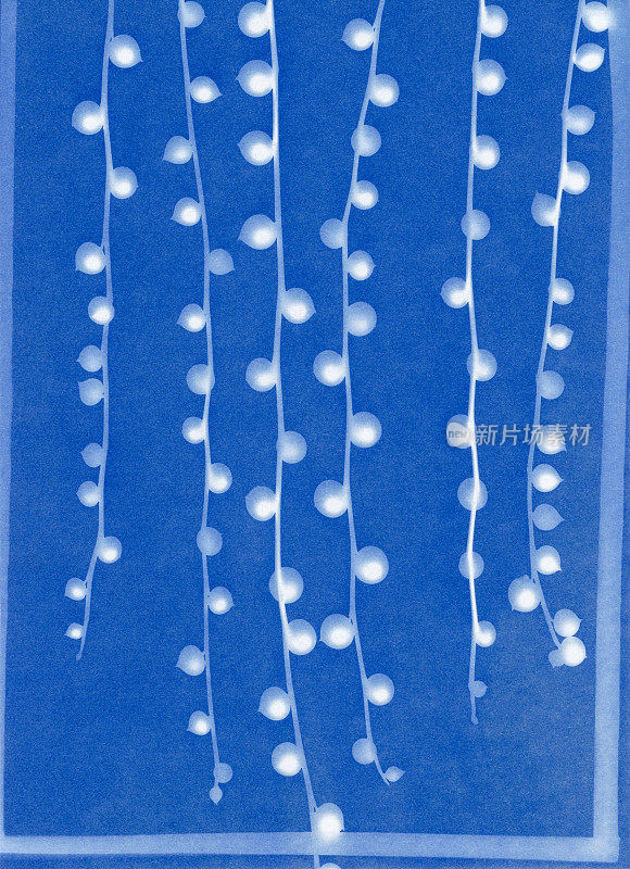 蓝印花布的珍珠串植物，古玩