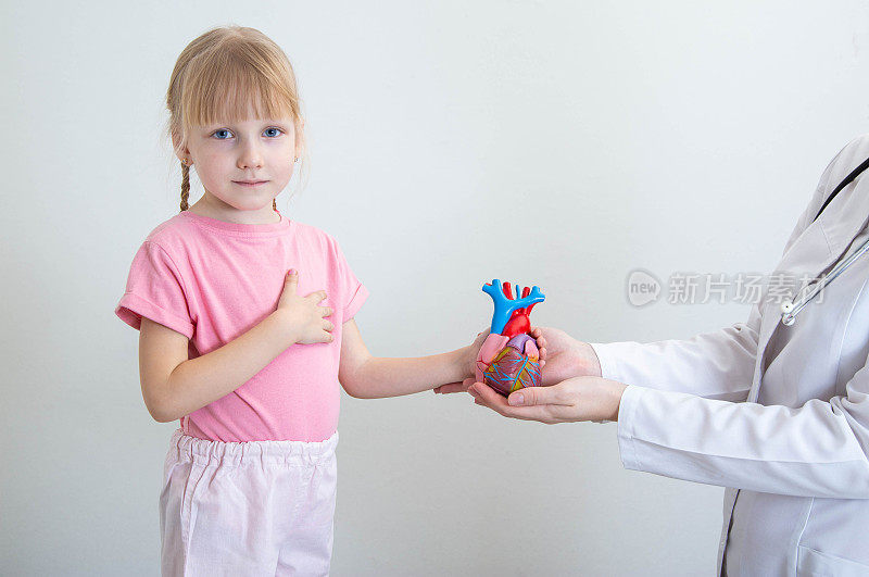 儿科心脏病专家医生手里拿着一个人类心脏模型，把它交给一个5岁的小女孩。儿科心脏病学的概念。复制文本空间