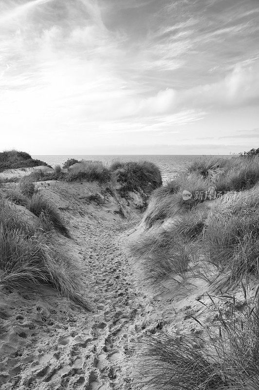 穿越丹麦海滩的黑白照片。沙丘，沙水