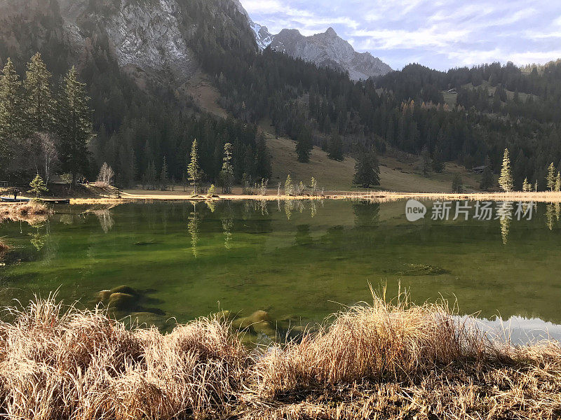 瑞士伯尔尼州-劳enen，劳ensee(格施塔德附近的劳enen湖)