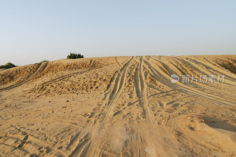 印度拉贾斯坦邦塔尔沙漠沙丘上的汽车轮胎印。游客乘车到达沙漠观看日出，这是一项非常受游客欢迎的活动。