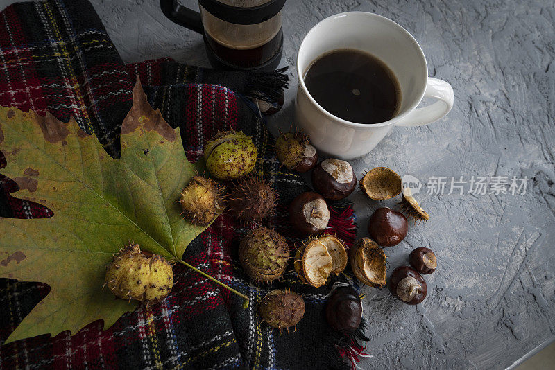 秋天的季节