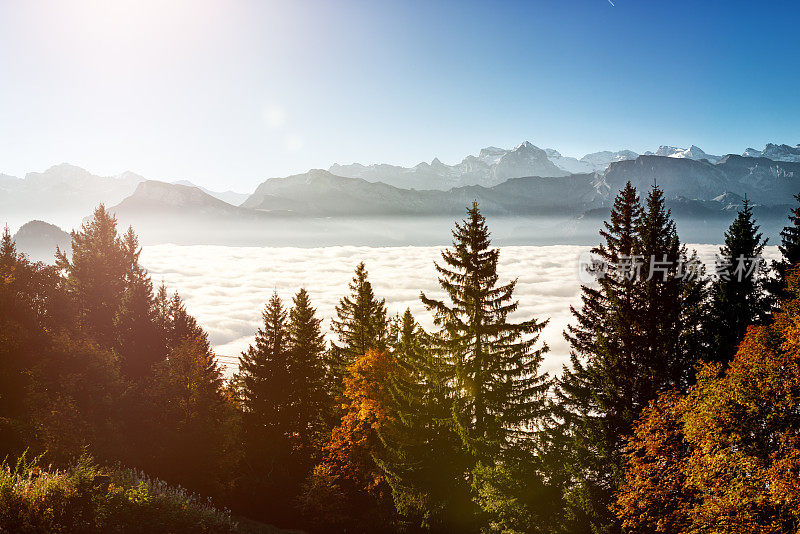 秋天在瑞士的卢塞恩湖徒步旅行