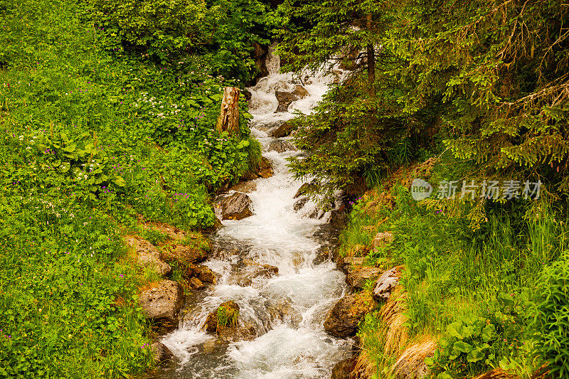 Lauterbrunnen。Staubbach瀑布。瑞士。山的风景。伯尔尼州