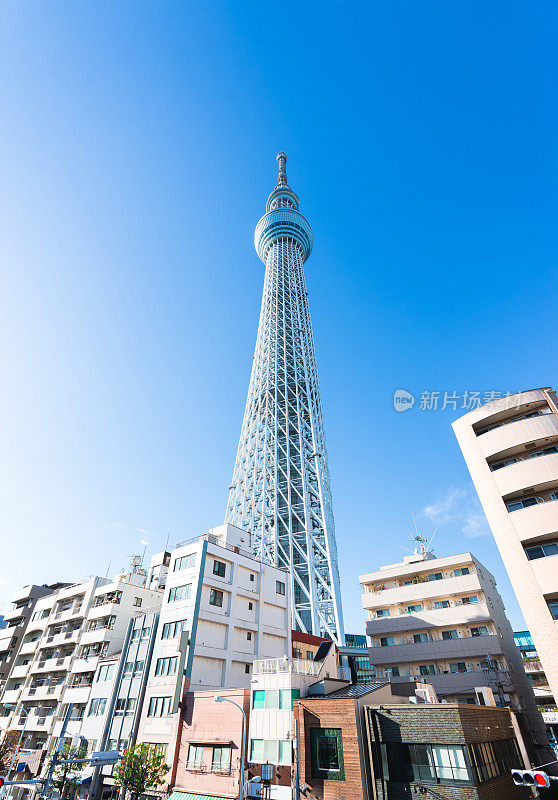 日本东京，天空树，从隅田区拍摄