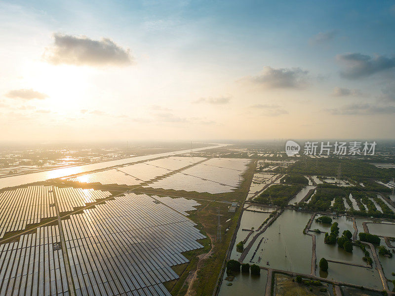 大型可持续发电厂鸟瞰图，有许多排太阳能光伏板，用于在日落天空的农村生产清洁的生态电能