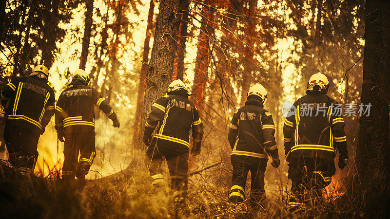 一队志愿消防员带着安全装备和制服包围了熊熊燃烧的森林大火，以免火势完全失控。消防员应对紧急情况和防止灾难。