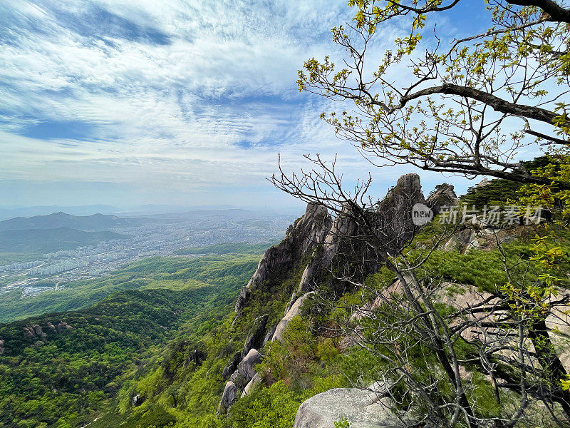 春天的山