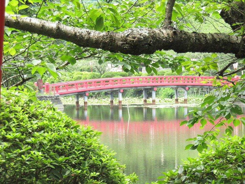 日本。7月。公园里有红桥的池塘。的印象。