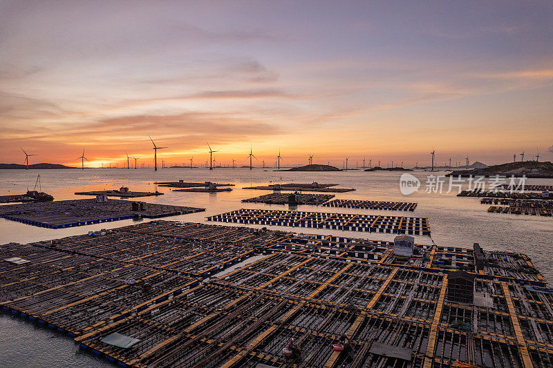 夕阳下漂浮在海上的水产养殖场