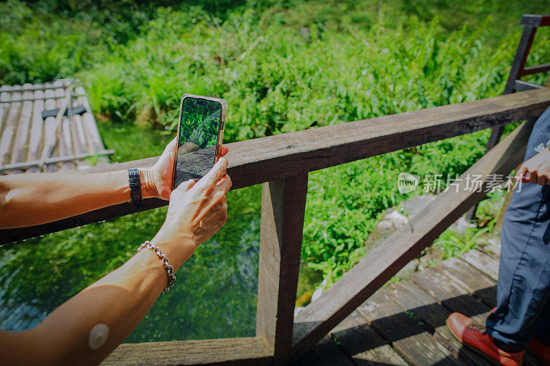 一名亚洲妇女拿着手机拍摄一只停了下来的蜻蜓