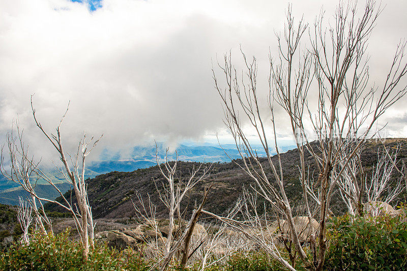 布法罗山国家公园，维多利亚。澳大利亚。从霍恩野餐区眺望澳大利亚阿尔卑斯山。山清水秀，云淡风轻