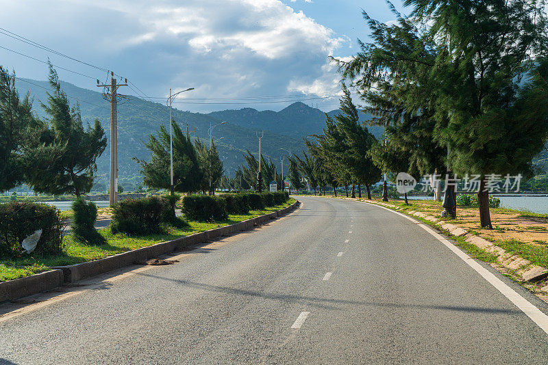 宁顺沿海道路上倾斜的树木线