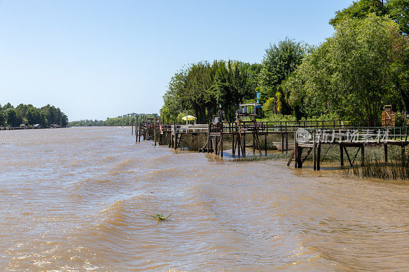 Tigre阿根廷