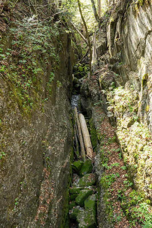 在奥地利蒂罗尔的走私者路径“Entenlochklamm”上徒步旅行时，与树干一起峡谷