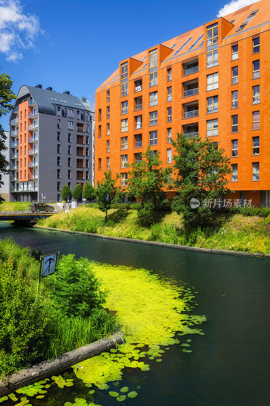 现代住宅区在运河上的粮仓岛，Gdańsk，波兰