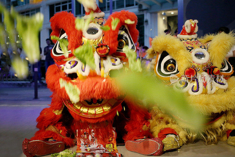 中国新年-舞狮表演