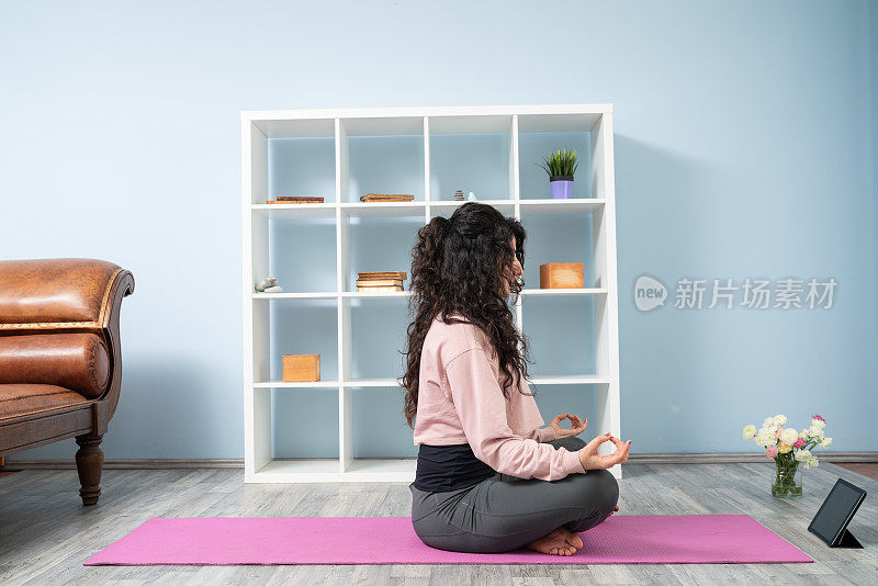 成年女性在客厅上网学习瑜伽