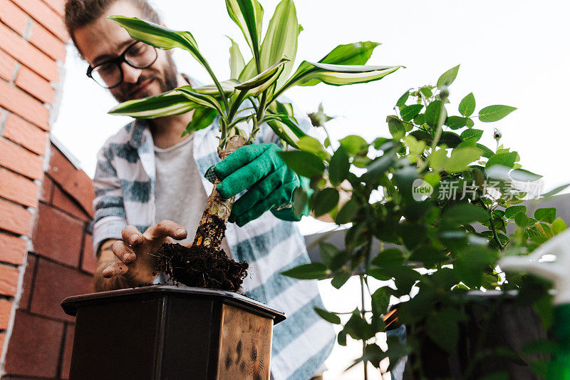 一个年轻人在阁楼公寓的阳台上照料他的植物