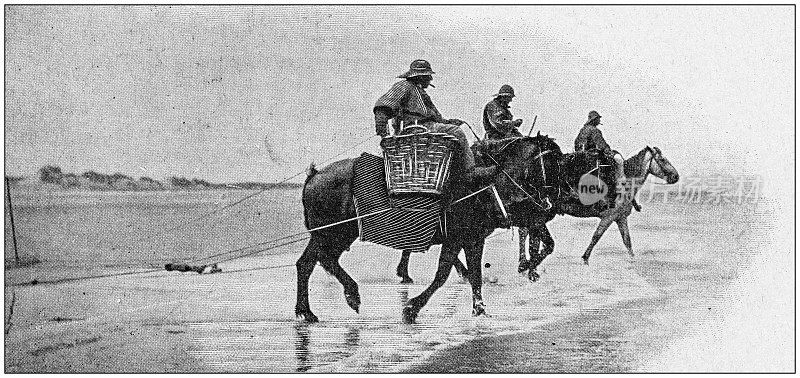 古董照片:骑马的渔民