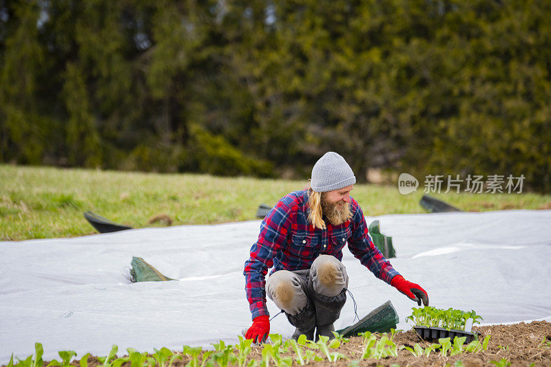 一名男性农民在小规模的社区共享农业项目中种植作物