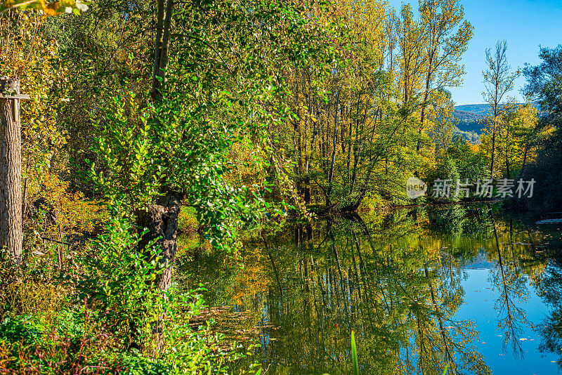 这是一幅在河边被森林包围的秋景