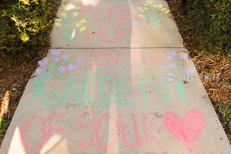 “在你心中的花园种下希望”灵感人行道粉笔艺术