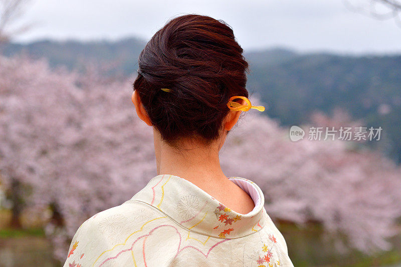 穿着和服的日本妇女在京都享受樱花盛开的季节