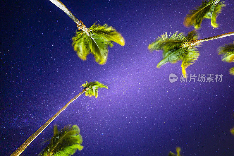 巴西巴伊亚的夜空上的银河和棕榈树-星星景观